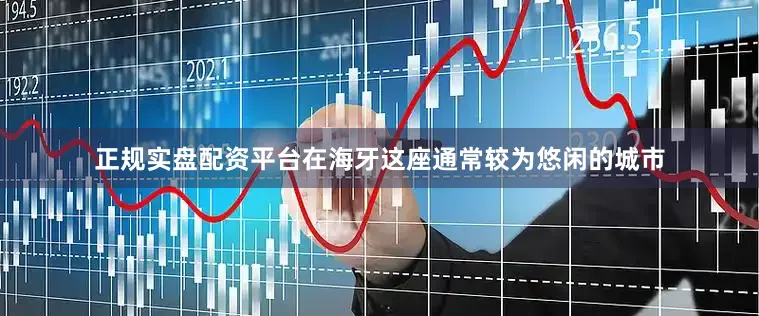 正规实盘配资平台在海牙这座通常较为悠闲的城市