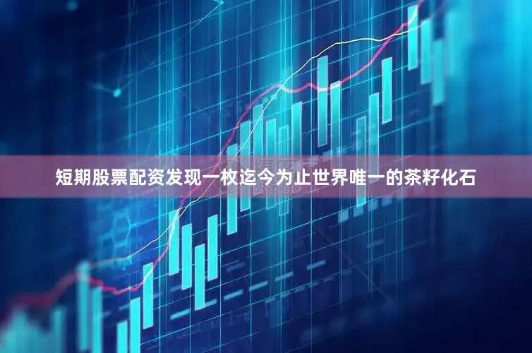短期股票配资发现一枚迄今为止世界唯一的茶籽化石