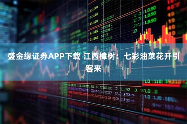 盛金缘证券APP下载 江西樟树：七彩油菜花开引客来